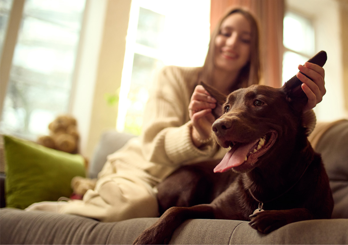 Headerbild Hundehalterin